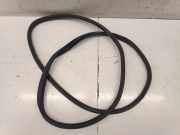 Türdichtung MG MG ZS ()