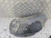 Innenkotflügel hinten rechts