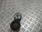 Generatorriemen des Spanners JAGUAR S-TYPE (X200) 2.7 D 4R8Q6A228BA