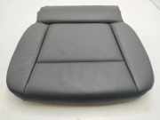 Zierleiste BMW X5 (E70)