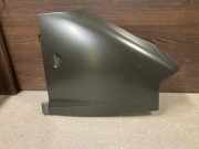 Kotflügel vorne rechts PEUGEOT BOXER Furgon (230L) 2.5 TD FT10024AR