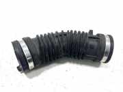 Andere Röhren RENAULT GRAND SCÉNIC III (JZ0/1_) 1.6 dCi (JZ00, JZ12) 165751903R