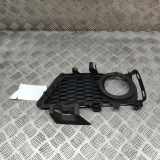 Gitter Grill vorne links BMW 3 (F30, F80) 335 d xDrive 8062635