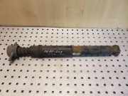 Stoßdämpfer hinten links