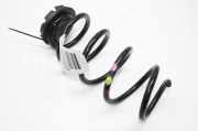 Schraubenfeder hinten links NISSAN JUKE (F16) 1.0