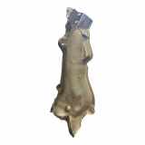 Heat Insulation TOYOTA PROACE Furgon (MDZ_) 2.0 D (MDZ6_) 9806555080