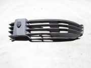 Gitter vorne unten VW PASSAT B5 (3B3) 1.9 TDI