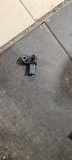 LUFTDRUCKSENSOR BMW 1 (F20) 125 i 8637896