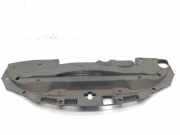 Zierleiste Lexus IS 2 (E2) 5329553020