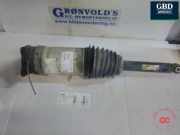 Gasdruckfeder Tesla Model S (5YJS) 106746100C