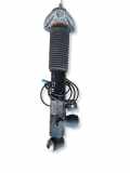 Stoßdämpfer hinten links BMW X5 (F15, F85) xDrive 40 d 6875088