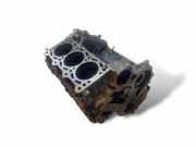Motorblock AUDI A6 (4F2, C6) 3.0 TDI quattro 045133031BC