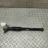 Stoßdämpfer hinten links AUDI A5 (F53) 35 TFSI Mild Hybrid 8W0513035AJ