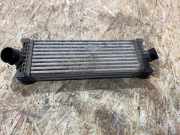 Ladeluftkühler Ford Transit Custom V362 Kasten (FY, FZ) GK216K775AE