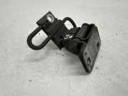 Türscharnier hinten rechts VW Passat B7 (362)