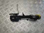 Türgriff rechts vorne Lexus IS 3 (E3)