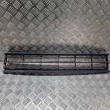 Vorderer oberer Gitter VW PASSAT Variant B7 (365) 2.0 TDI
