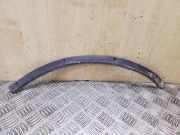 Rear Arch Liner Trim