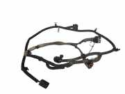 Kabelbaum Hyundai Santa Fe II (CM)