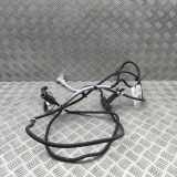 Anzeige Blauer Schlauch BMW X6(G06) xDrive 30 d 5A17887