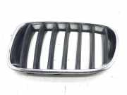Vorderer oberer Gitter BMW X3 (F25) xDrive 20 d 51117237421 51117210725