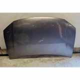 Motorhaube VW TOURAN (1T1, 1T2) 1.9 TDI