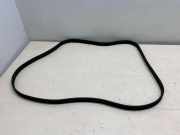 Generatorriemen PORSCHE CAYENNE (92A) 3.6 95510293300