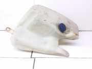 Fensterwaschtank FIAT MAREA (185_) 1.9 TD 100 A563