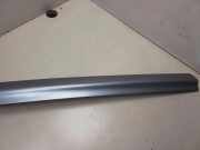 Kennzeichenbeleuchtung Verkleidung