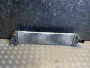 Ladeluftkühler Ford Kuga () 0G919L440AF