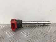 Zündspule AUDI A6 (4F2, C6) 2.4