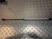 Heckklappe Gasdruckfeder links AUDI A3 Sportback (8VA, 8VF) 1.6 TDI 8Z0827552B