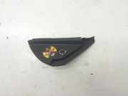 Armaturenbrett Seitenverkleidung RENAULT MEGANE II (BM0/1_, CM0/1_) 1.5 dCi (BM0F, CM0F)