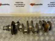 Kurbelwelle IVECO DAILY V Furgon/Estate 29L11 V, 35C11 V, 35S11 V, 40C11 V 502295010