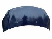 Motorhaube CITROËN DS3 1.6 HDi 90 9666806880