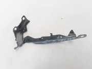 Motorhaubenscharnier links Volvo S80 II (124) 31250185