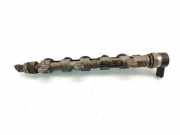 Einspritzleiste Renault Laguna III (T) 0445214173
