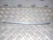 Windlauf Opel Astra G Coupe (T98C)