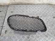 Kühlergrill unten Mercedes-Benz CLS (C218) A2188851923