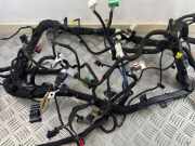 Kabelbaum FORD ECOSPORT 1.5 TDCi A12734162