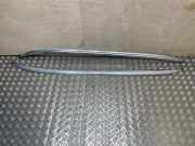 Dachreling links BMW 3er Touring (E91) 7255485