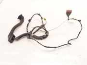 Kabel Tür Peugeot Expert III Kasten (V) 1478869080