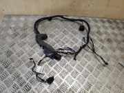 Kabel Tür vorne rechts BMW X1 (E84) xDrive 25 d 9191808 9269941