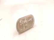 Kotflügelblinker vorne links