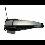 Türaußengriff hinten links