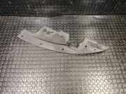 Zierleiste Nissan Murano II (Z51) 625801AA0A