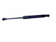 Gasfeder für Motorhaube BMW 6er (E63) DL56070