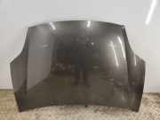 Motorhaube Fiat Bravo II (198) 284A