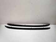 Dachgriff hinten links BMW X1 (E84) xDrive 20 d