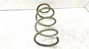 Schraubenfeder hinten links